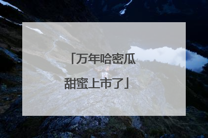 万年哈密瓜甜蜜上市了