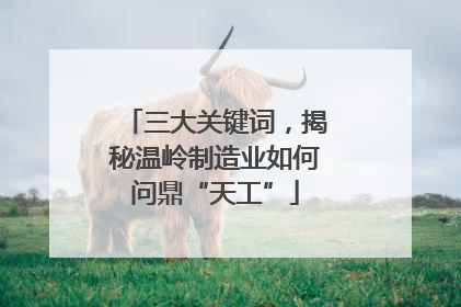 三大关键词，揭秘温岭制造业如何问鼎“天工”