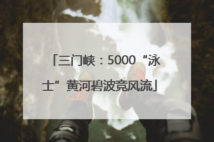 三门峡：5000“泳士”黄河碧波竞风流