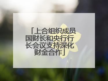 上合组织成员国财长和央行行长会议支持深化财金合作