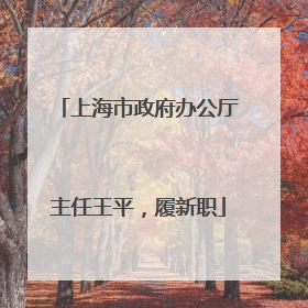 上海市政府办公厅主任王平，履新职