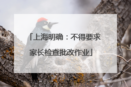 上海明确：不得要求家长检查批改作业