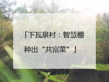 下瓦泉村：智慧棚种出“共富菜”