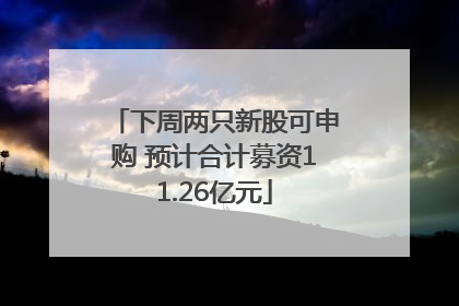 下周两只新股可申购 预计合计募资11.26亿元