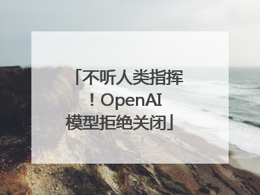 不听人类指挥！OpenAI模型拒绝关闭