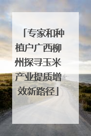 专家和种植户广西柳州探寻玉米产业提质增效新路径