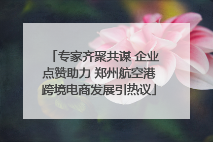 专家齐聚共谋 企业点赞助力 郑州航空港跨境电商发展引热议