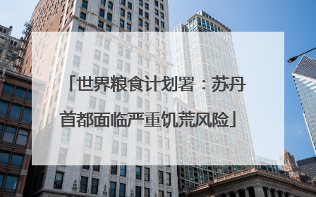 世界粮食计划署：苏丹首都面临严重饥荒风险