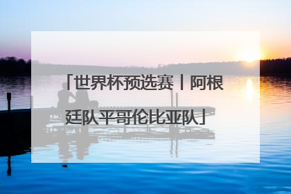 世界杯预选赛丨阿根廷队平哥伦比亚队