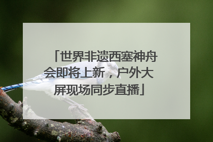 世界非遗西塞神舟会即将上新，户外大屏现场同步直播