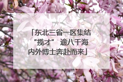 东北三省一区集结“揽才” 逾八千海内外博士奔赴而来