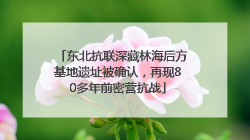 东北抗联深藏林海后方基地遗址被确认，再现80多年前密营抗战
