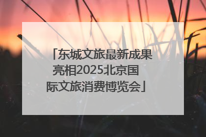 东城文旅最新成果亮相2025北京国际文旅消费博览会
