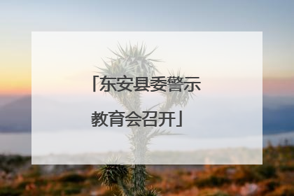 东安县委警示教育会召开