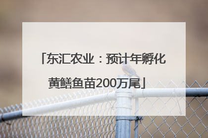 东汇农业：预计年孵化黄鳝鱼苗200万尾