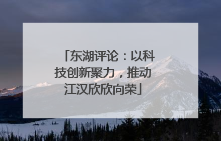 东湖评论：以科技创新聚力，推动江汉欣欣向荣