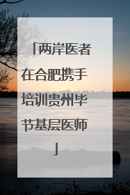 两岸医者在合肥携手培训贵州毕节基层医师