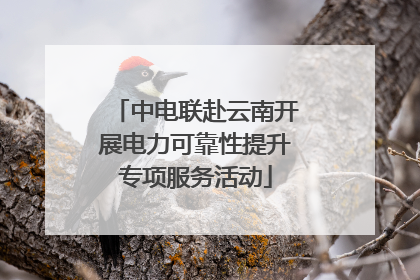 中电联赴云南开展电力可靠性提升专项服务活动