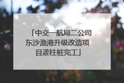 中交一航局二公司东沙渔港升级改造项目灌柱桩完工