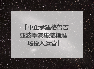 中企承建格鲁吉亚波季港集装箱堆场投入运营