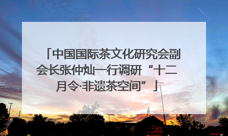 中国国际茶文化研究会副会长张仲灿一行调研“十二月令·非遗茶空间”