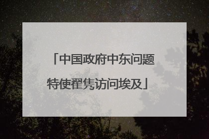 中国政府中东问题特使翟隽访问埃及