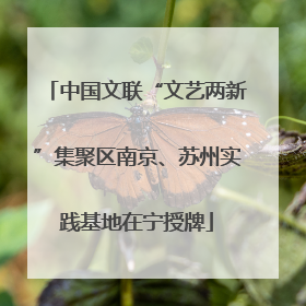 中国文联“文艺两新”集聚区南京、苏州实践基地在宁授牌