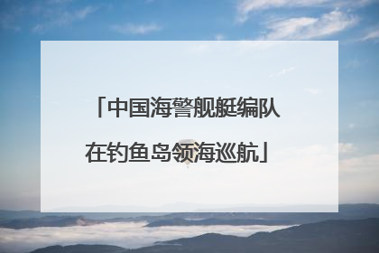 中国海警舰艇编队在钓鱼岛领海巡航