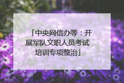 中央网信办等：开展军队文职人员考试培训专项整治