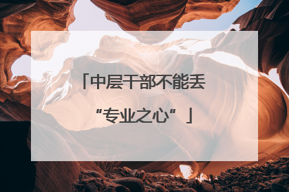 中层干部不能丢“专业之心”