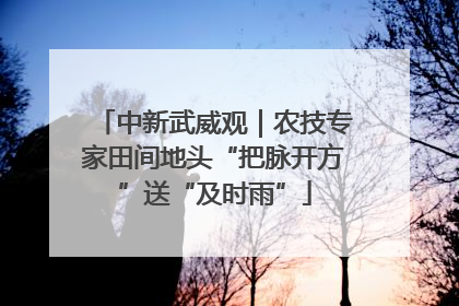 中新武威观｜农技专家田间地头“把脉开方”送“及时雨”