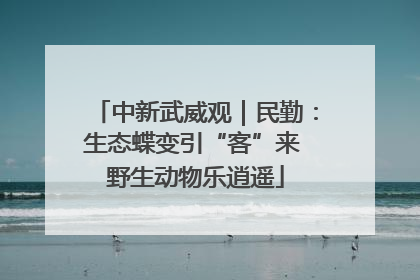 中新武威观｜民勤：生态蝶变引“客”来 野生动物乐逍遥