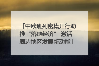 中欧班列密集开行助推“落地经济” 激活周边地区发展新动能