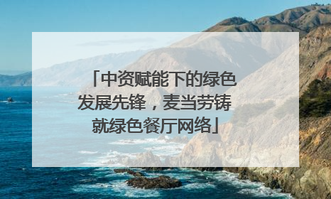 中资赋能下的绿色发展先锋，麦当劳铸就绿色餐厅网络