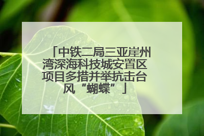 中铁二局三亚崖州湾深海科技城安置区项目多措并举抗击台风“蝴蝶”