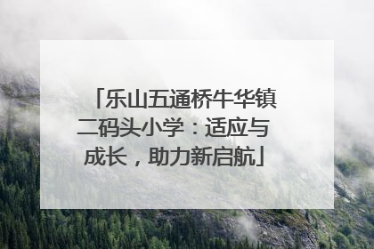 乐山五通桥牛华镇二码头小学：适应与成长，助力新启航