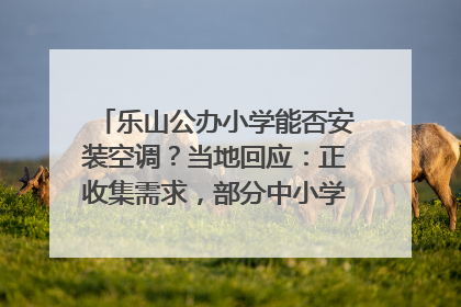 乐山公办小学能否安装空调？当地回应：正收集需求，部分中小学已启动安装｜云求助