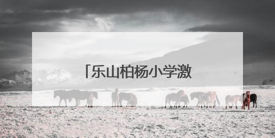 乐山柏杨小学激发学生对数学与科学的探索热情