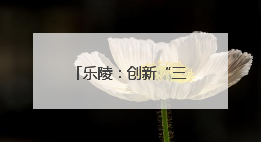 乐陵：创新“三端三化三网”开展农机审批改革