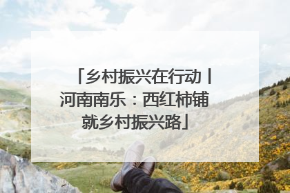 乡村振兴在行动丨河南南乐：西红柿铺就乡村振兴路