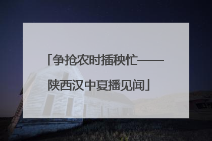 争抢农时插秧忙——陕西汉中夏播见闻
