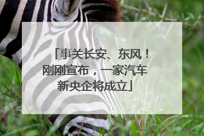 事关长安、东风！刚刚宣布，一家汽车新央企将成立
