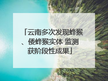 云南多次发现蜂猴、倭蜂猴实体 监测获阶段性成果