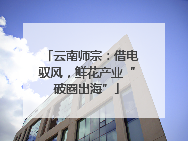 云南师宗：借电驭风，鲜花产业“破圈出海”
