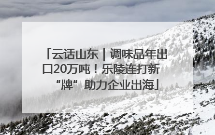 云话山东｜调味品年出口20万吨！乐陵连打新“牌”助力企业出海