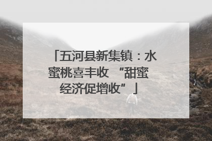五河县新集镇：水蜜桃喜丰收 “甜蜜经济促增收”