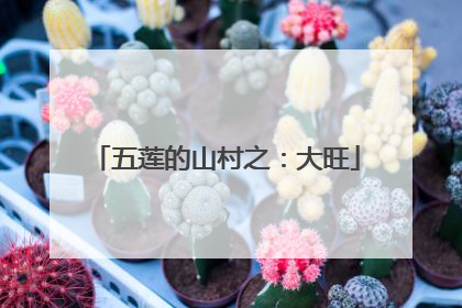 五莲的山村之：大旺