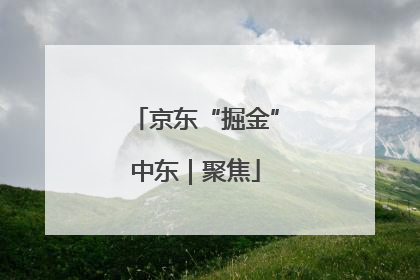 京东“掘金”中东｜聚焦