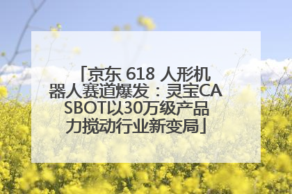 京东 618 人形机器人赛道爆发：灵宝CASBOT以30万级产品力搅动行业新变局