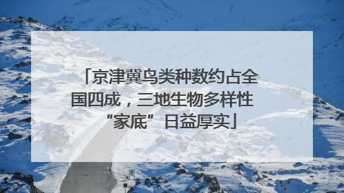京津冀鸟类种数约占全国四成,三地生物多样性“家底”日益厚实